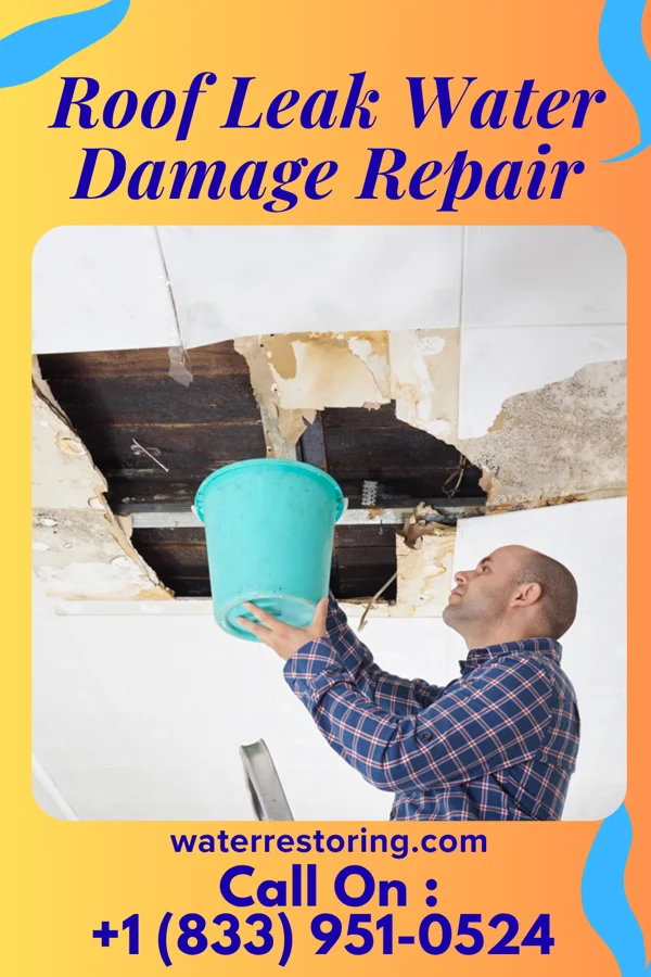 Roof Leak Water Damage Repair in Orange City, IA